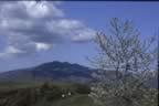Passeggiando nel Parco Faunistico (25kb)